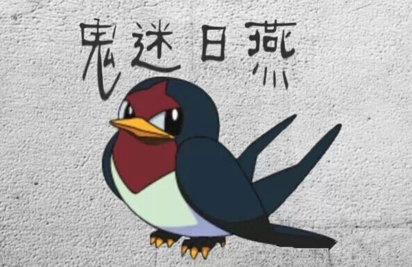 *转载*云南16大萌萌神兽图，看了涨姿势! - 文山卫士 - 文山卫士小园