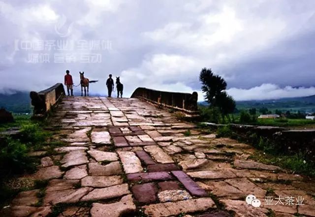 沿茶马古道 探普洱秘闻