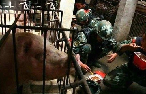 对他们,我们必须心怀敬意 - 遷客樵夫 - 遷客樵夫