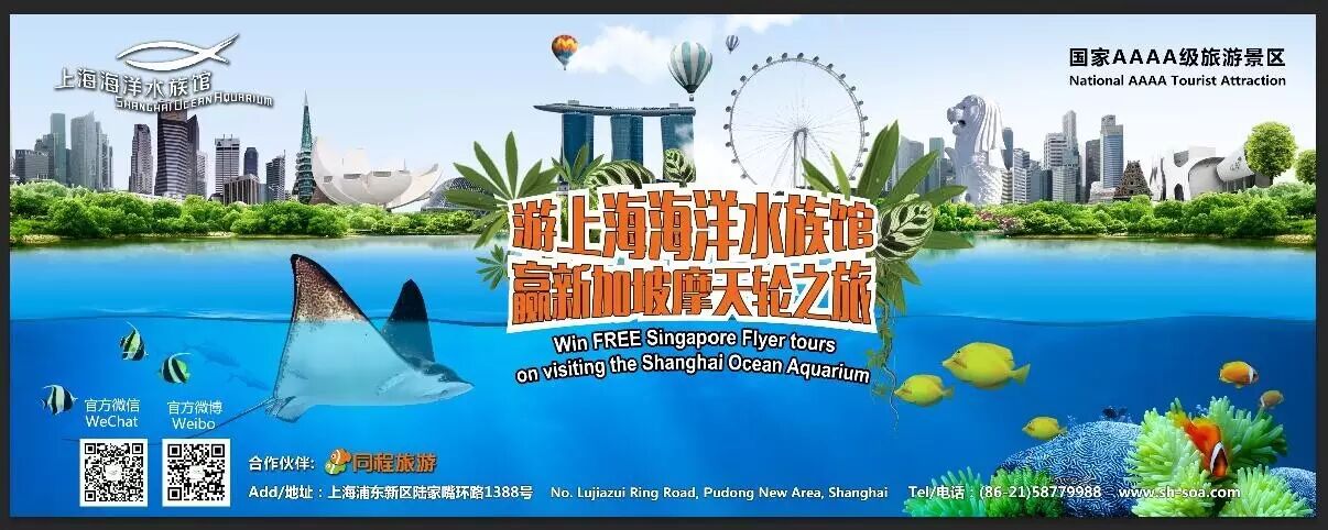 二胎来啦~恭喜长尾魟妈妈儿女双全-怀孕期