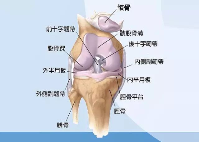 【大诸暨读书吧】膝关节保护完美篇!