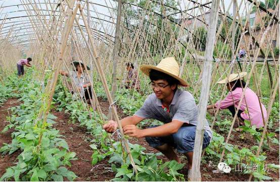 适合农村农创业养殖家创业项目_潍坊创业好项目_适合在潍坊的创业项目