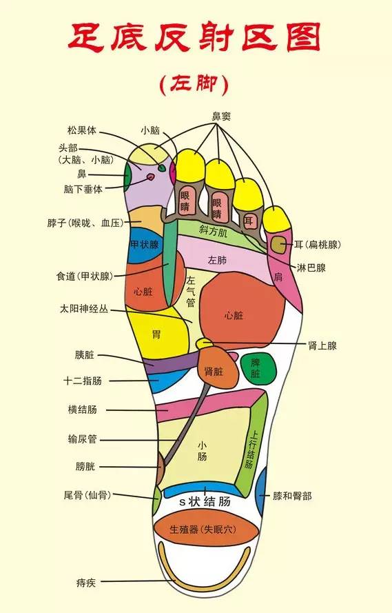 擀面杖擀脚底,神奇的减肥方法