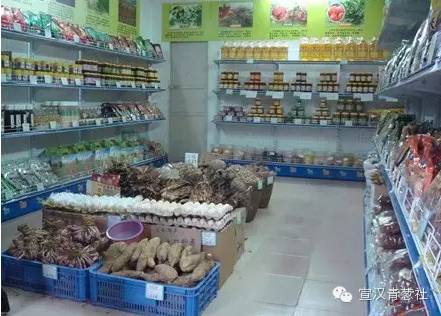 致富经创业项目 农村养殖牛 【宣汉创业找哪里——致富经】农村发家致富好项目