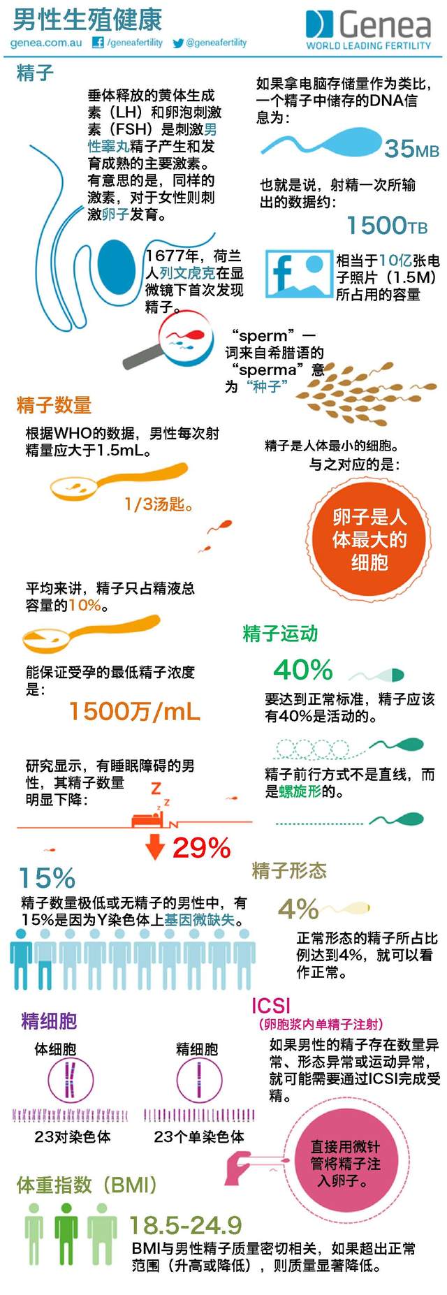 一图读懂—男性生殖健康