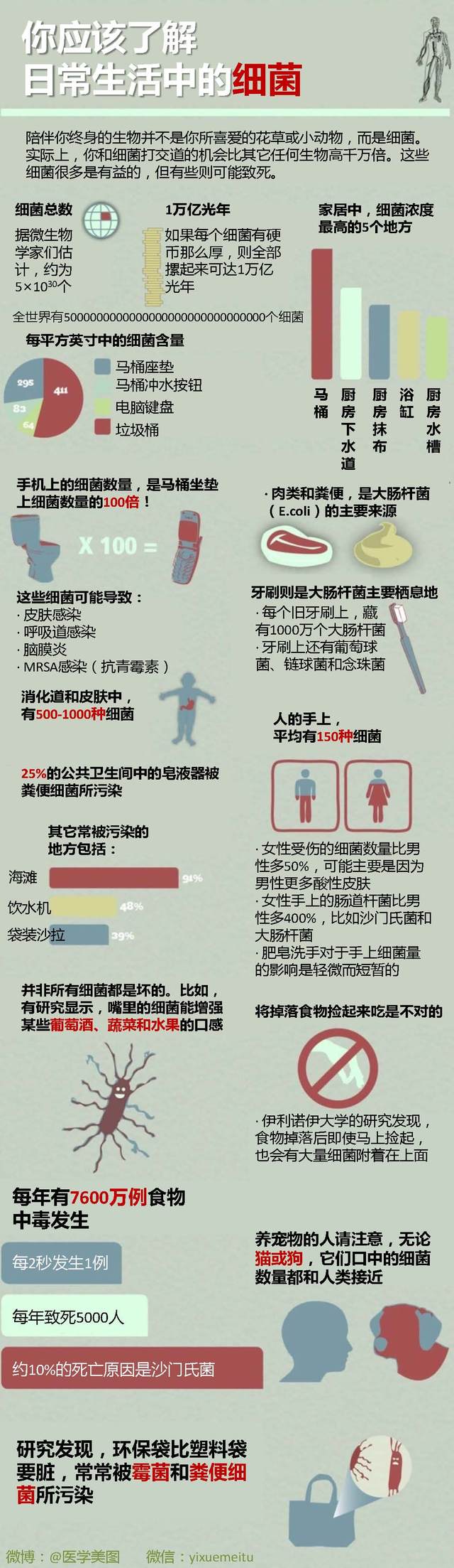 一图读懂—陪伴在你身边的细菌