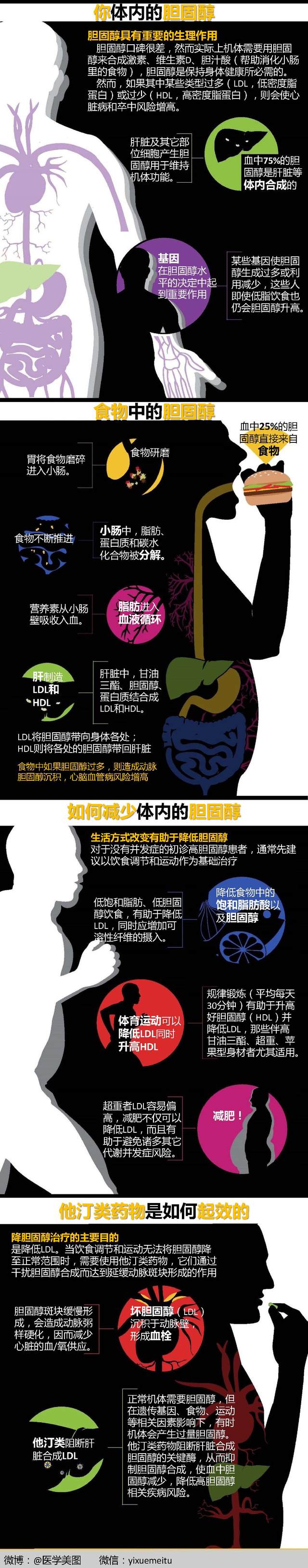 一图读懂—胆固醇与他汀