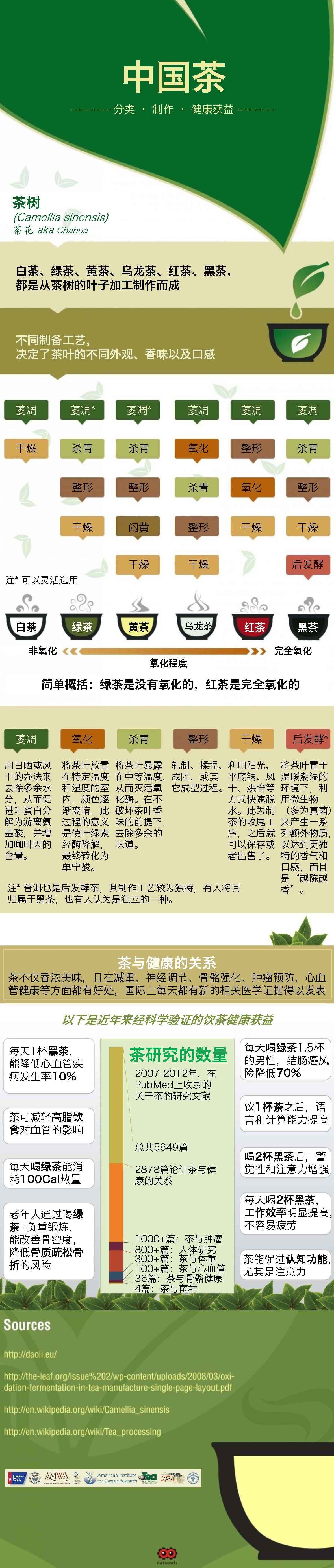 一图读懂—茶与健康