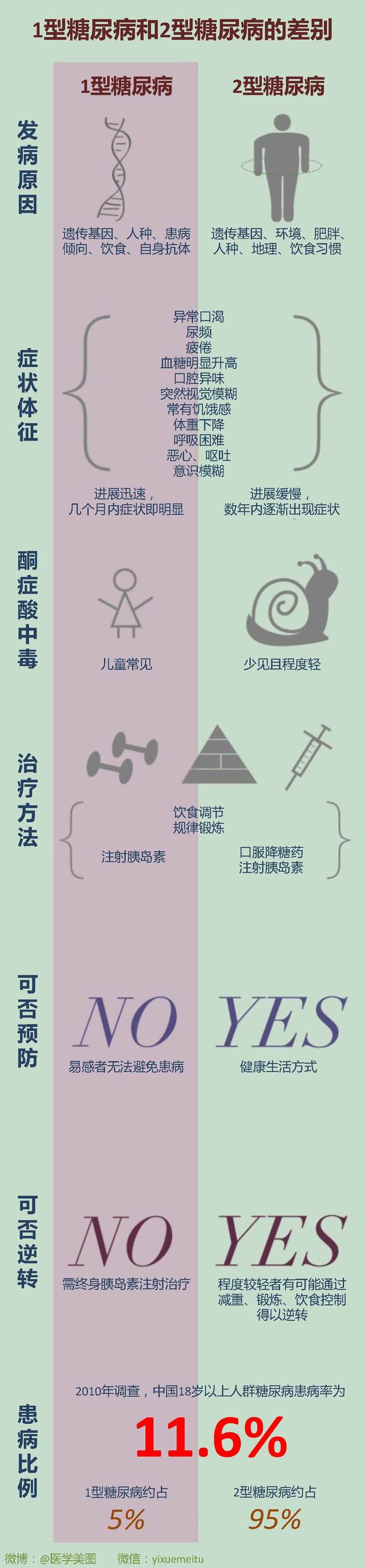 一图读懂—糖尿病分型