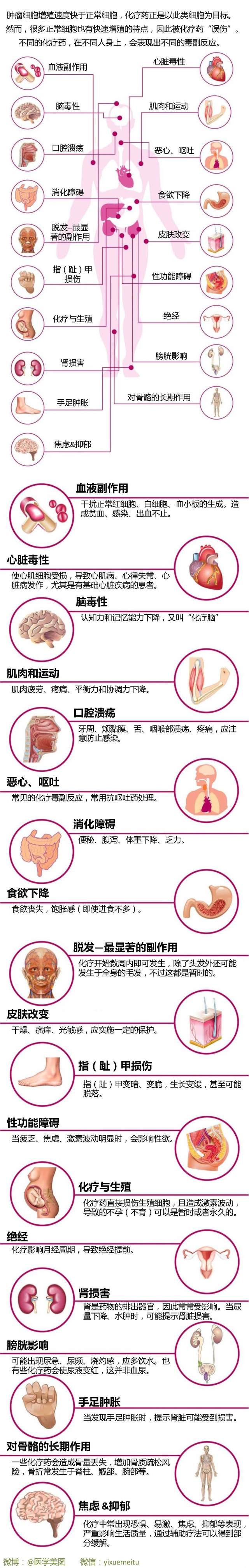 一图读懂—化疗毒副反应