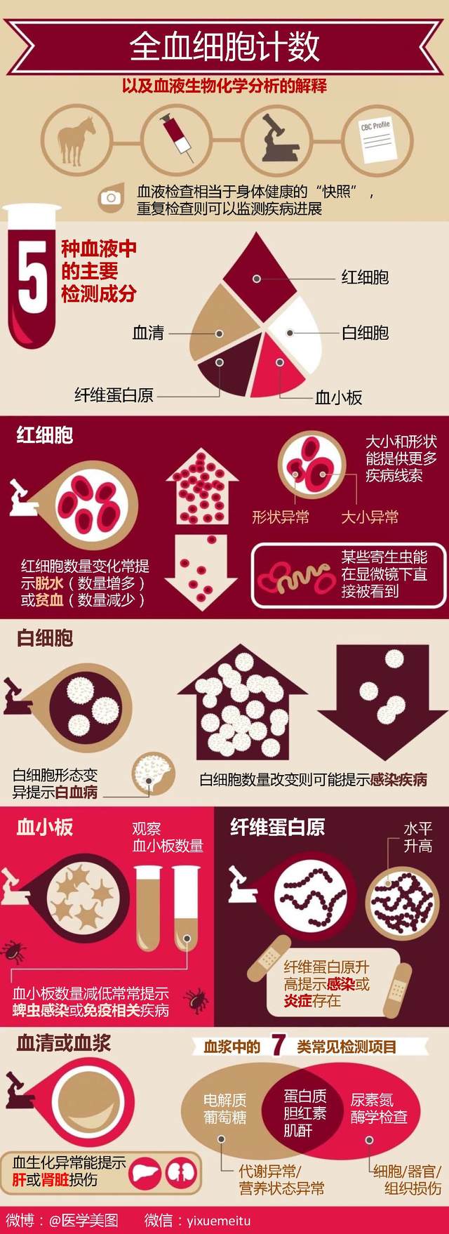 一图读懂—了解血液检查