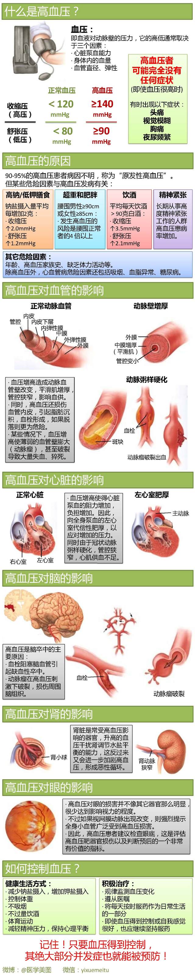 一图读懂—高血压的危害