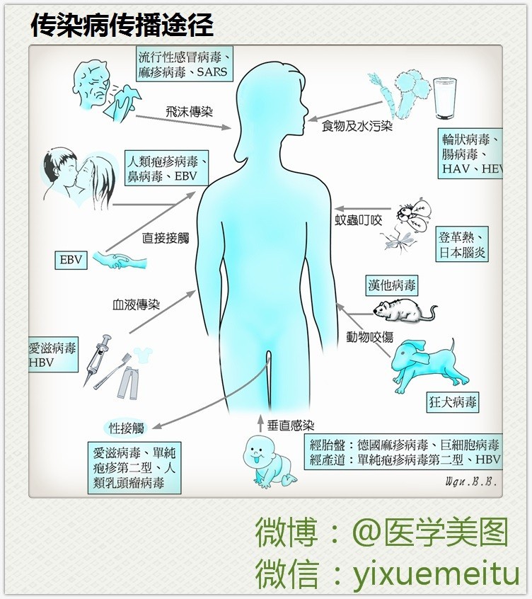 一图读懂—传染病传播途径