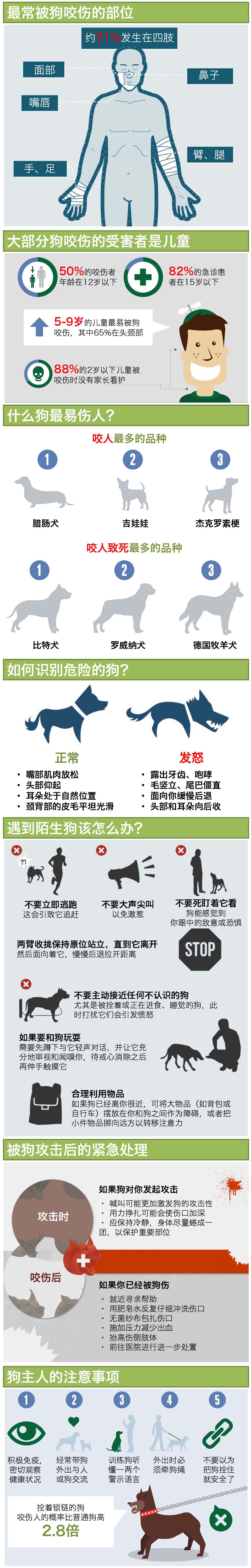 一图读懂—防范狗咬伤