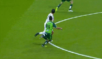 yangmiao_新浪博客