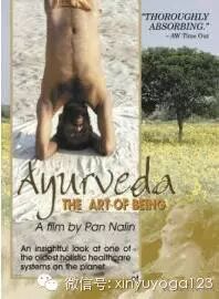 这些关于瑜伽的电影，你看过了吗？