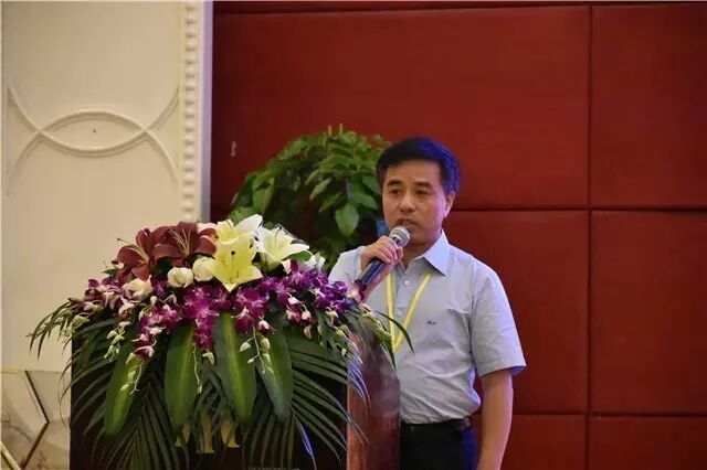 木林森在福建｜他们说，这个品牌值得追随