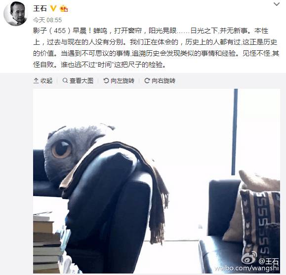 即将成真？｜王石：我的成功是别人不再需要我