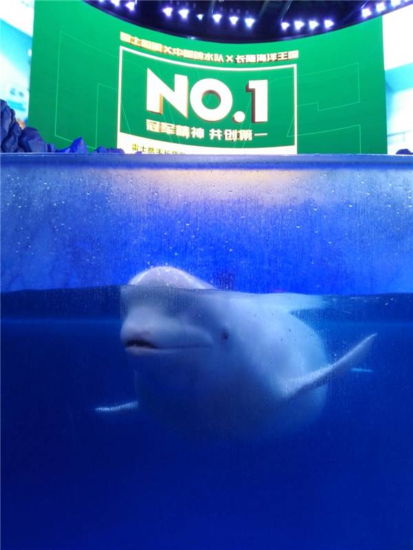 奥运冠军助阵｜这一次，雷士电商新品不火都不行……