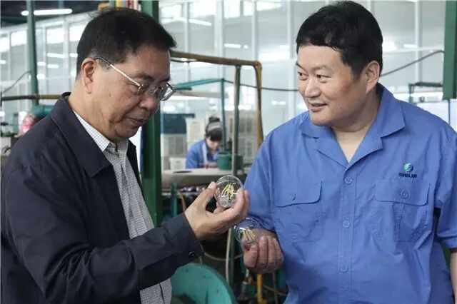 获肯定｜中照协秘书长陈燕生一行考察安徽世林照明