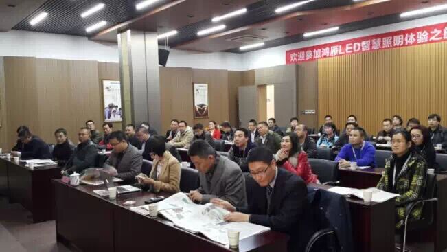 鸿雁2015：布局与突破 王米成谈“智慧照明”新方向