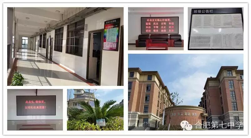 合肥七中那么美，我要去看看(图8)