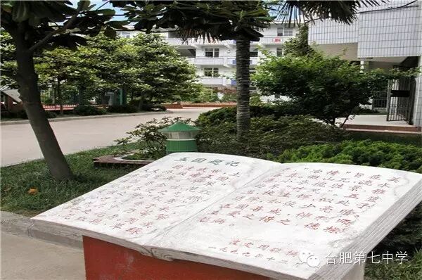 合肥七中那么美，我要去看看(图4)