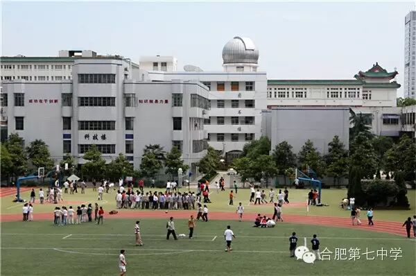 合肥七中那么美，我要去看看(图3)