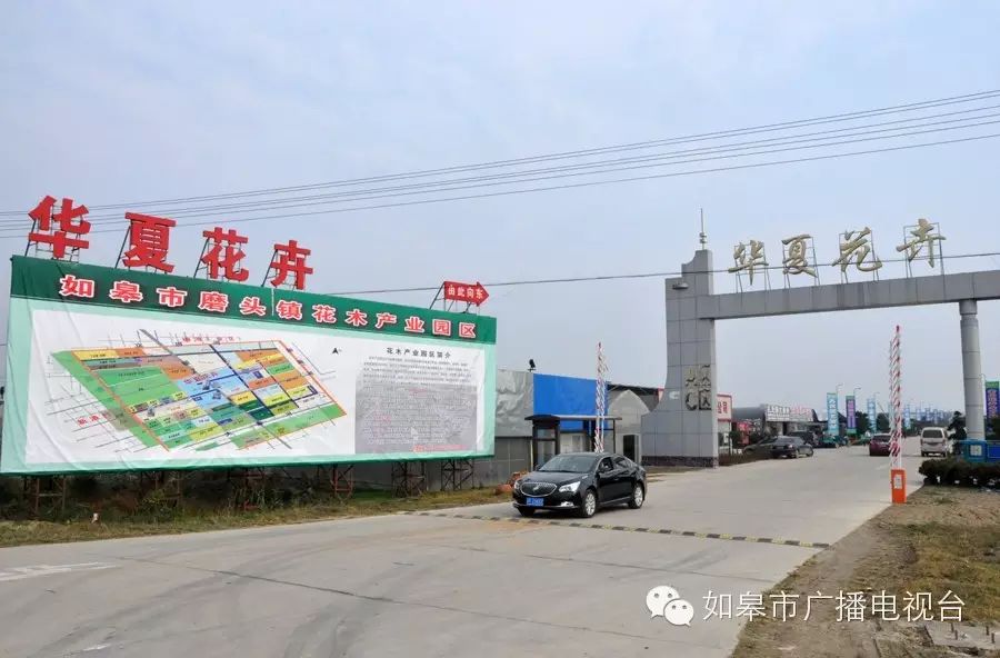 一块飞来的磨盘,让如皋这个地方出了名