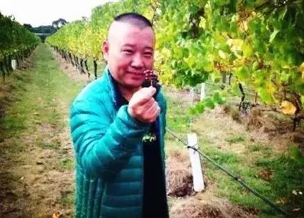 郭德纲推出德云红酒 明显扎堆卖红酒为哪般?