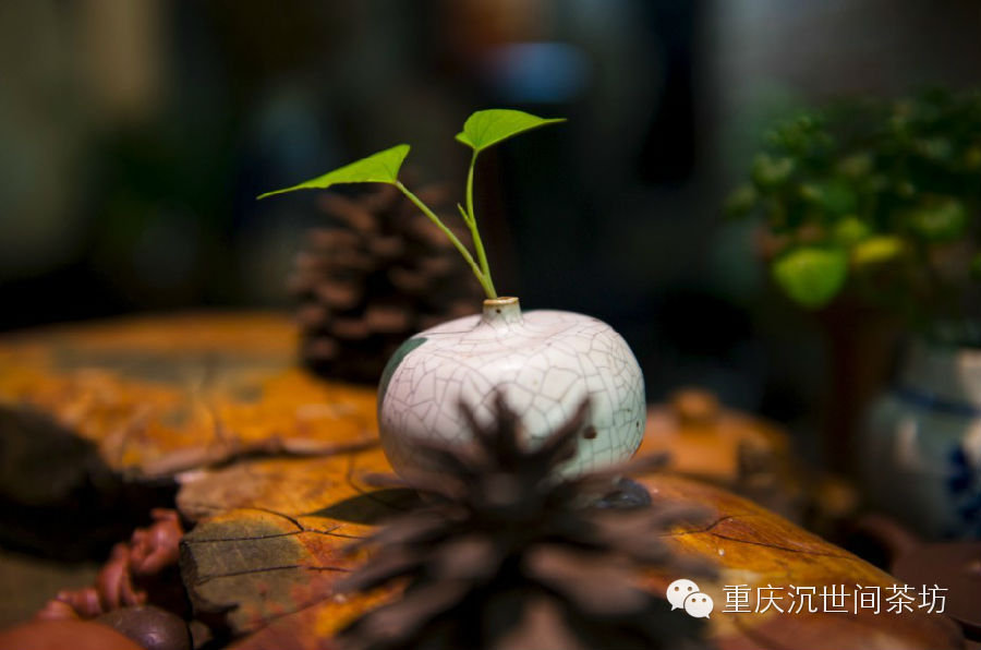 茶有六情【世间如是茶】 - 茶语 - 茶语的博客 茶有六情【世间如是茶】 - 茶语 - 茶语的博客