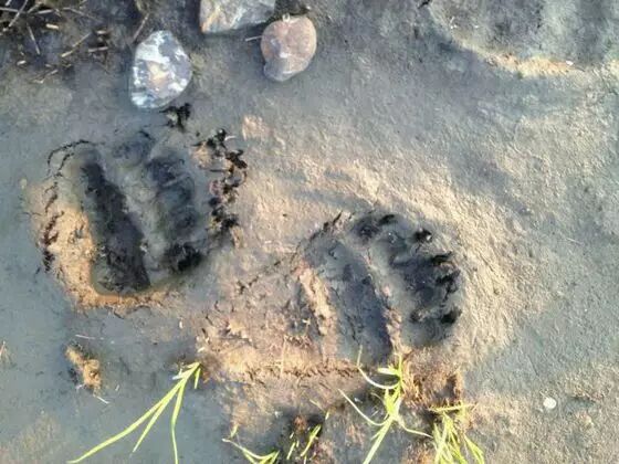 词汇｜哈利波特与死亡圣器第八章