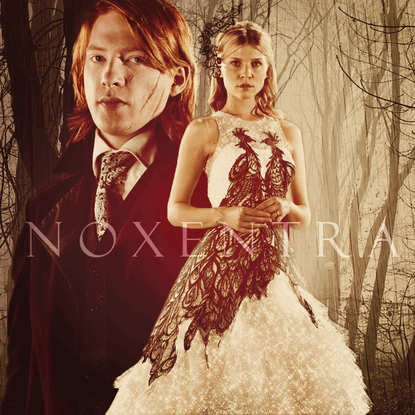 词汇|哈利波特与死亡圣器第八章 词汇|哈利波特与死亡圣器第八章