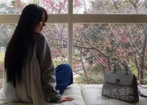 郭碧婷抱着猫咪赏樱 长发及腰背影很唯美