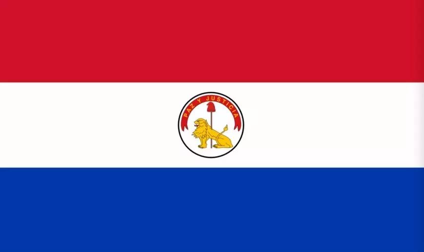 (巴拉圭的国旗反面)