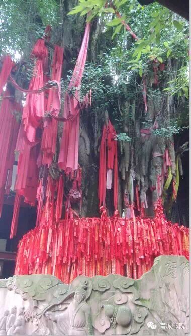 四川青城山天师洞