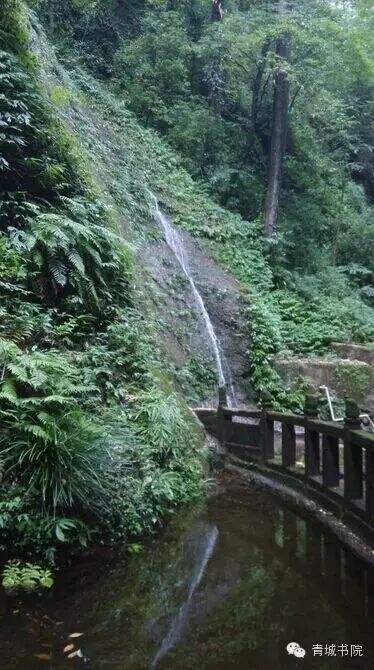 四川青城山天师洞