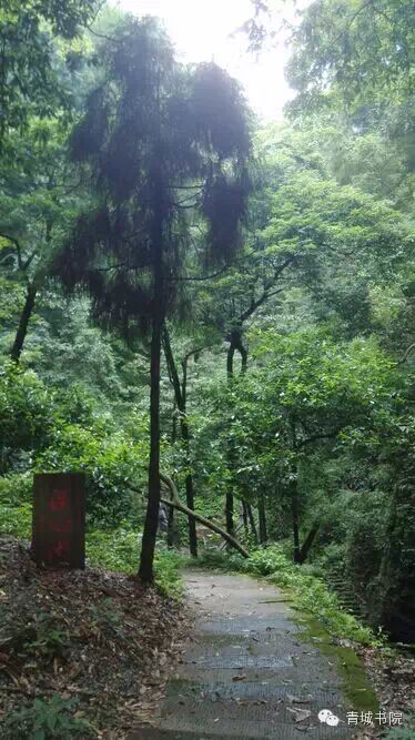 四川青城山天师洞