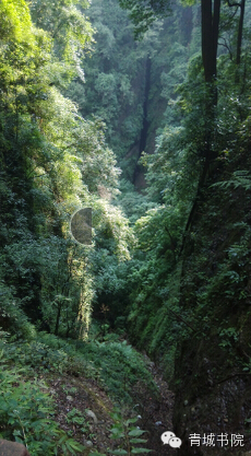 四川青城山天师洞