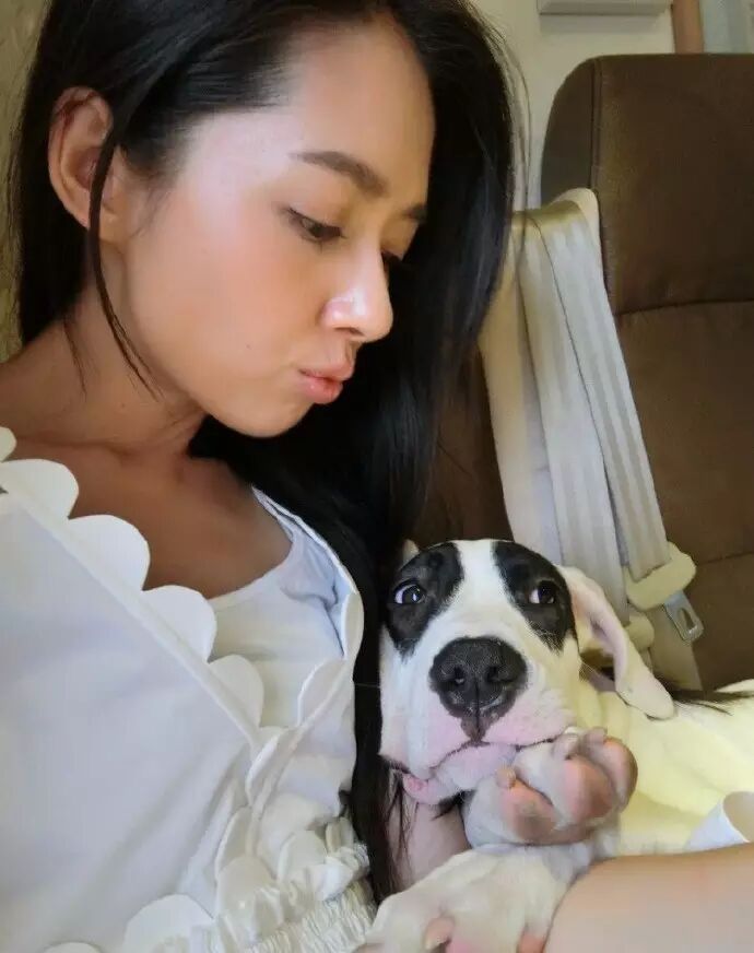 郭碧婷晒自己与爱犬照,网友留言:你怎么跟孙红雷在一起...
