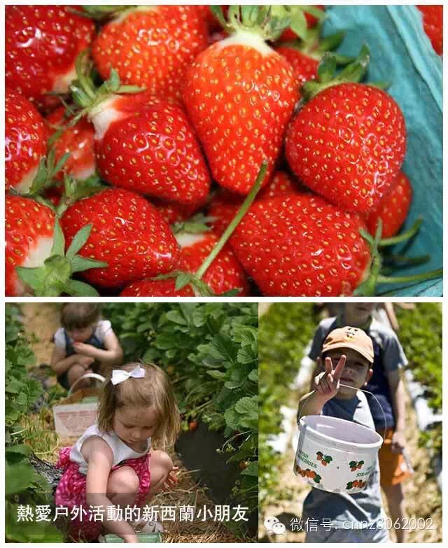 hougarden