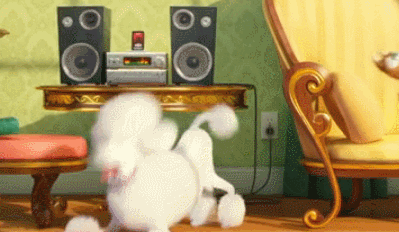 这个夏天就算你没被热化,一定也会被这群宠物萌化