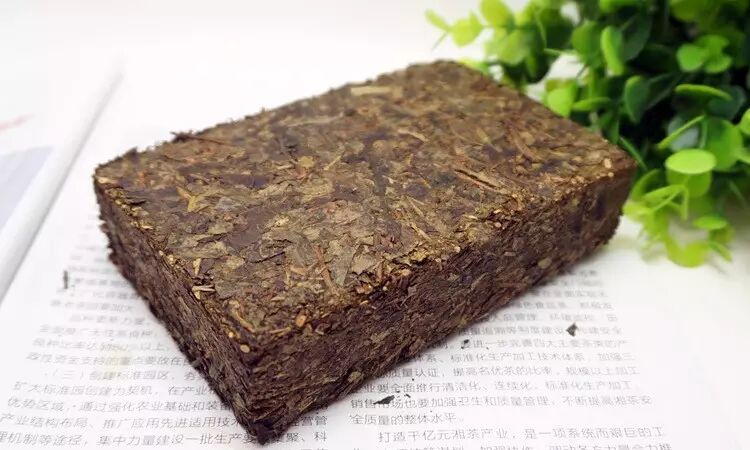 安化黑茶长虫还能喝吗？