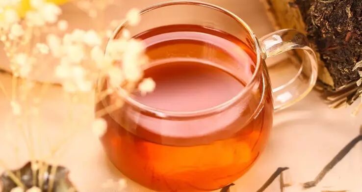 家人养生保健从喝黑茶开始