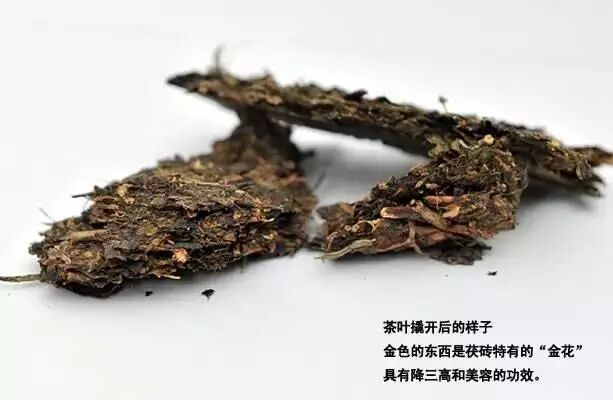 揭秘为什么安化黑茶以前不出名？