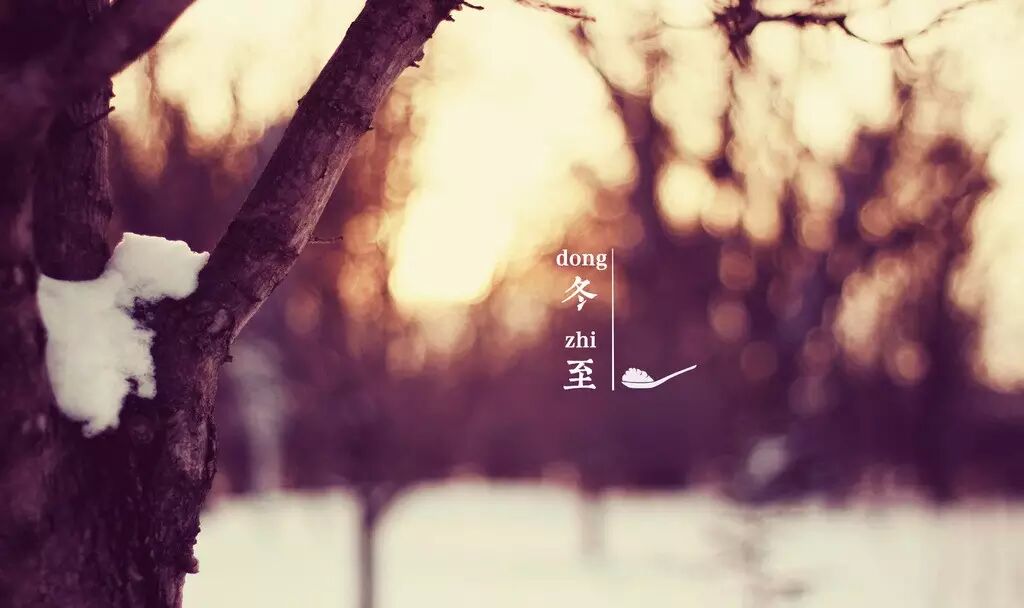 冬至大补，黑茶去腻