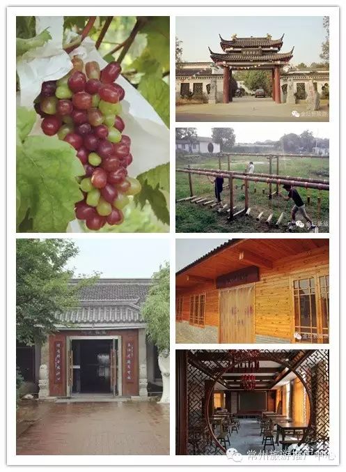 水果采摘,烧烤垂钓 地址:金坛上阮农业公园 咨询电话:13861116579 久