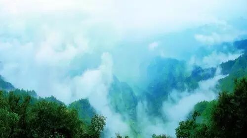 春雨绵绵 雾中重庆美景你看过几个？