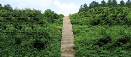 春雨绵绵 雾中重庆美景你看过几个？