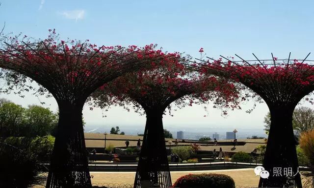 【园林设计】洛杉矶盖蒂中心中央花园